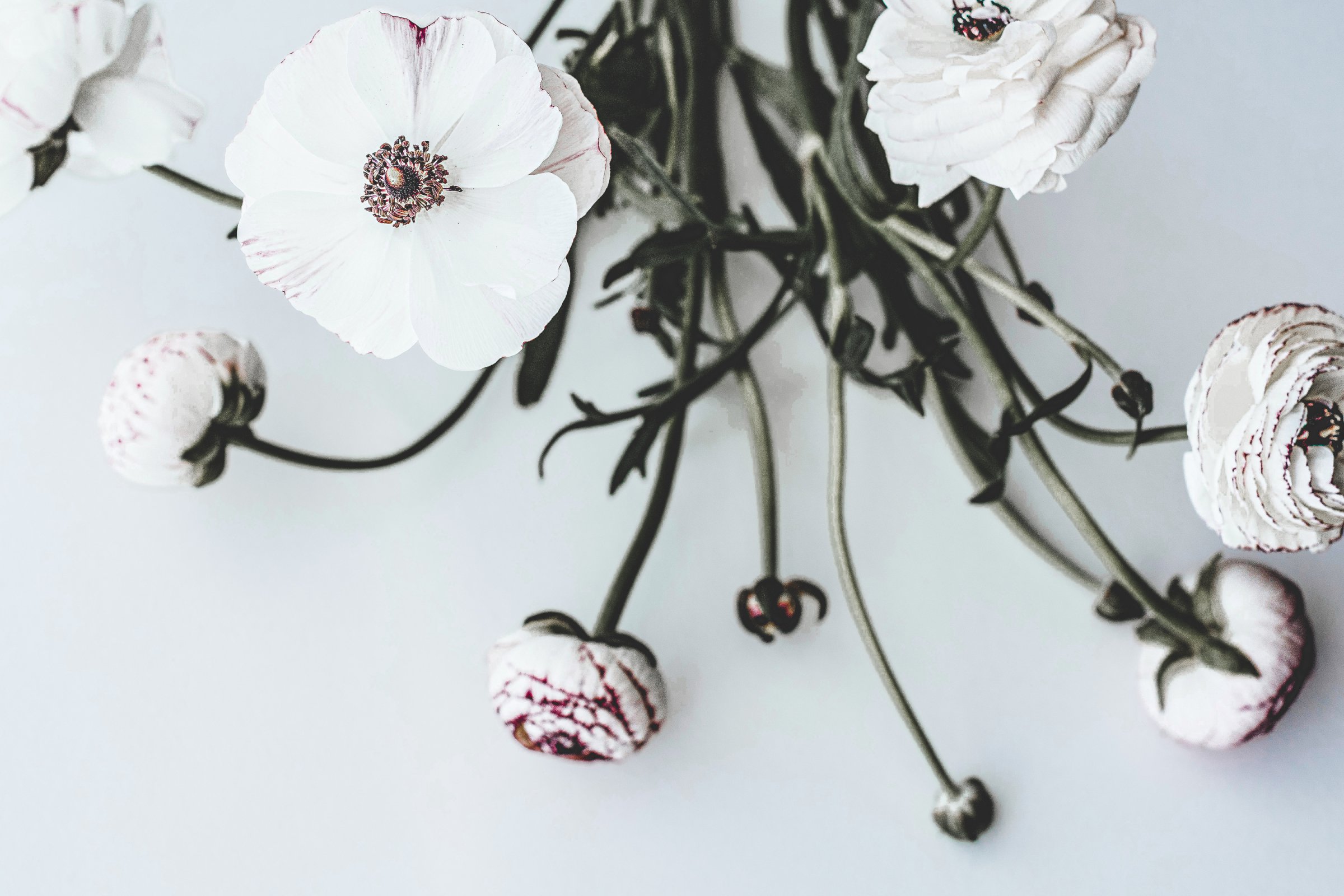 anita-austvika--gNXFvby9JU-unsplash-4